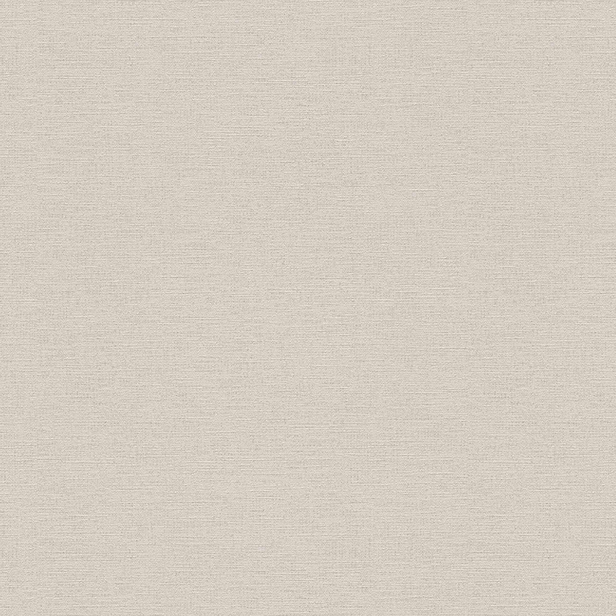 A.S. Creation | Björn | 306886 | Vliestapete | Einfarbig | Uni | 0.53 x 10.05 m | Braun