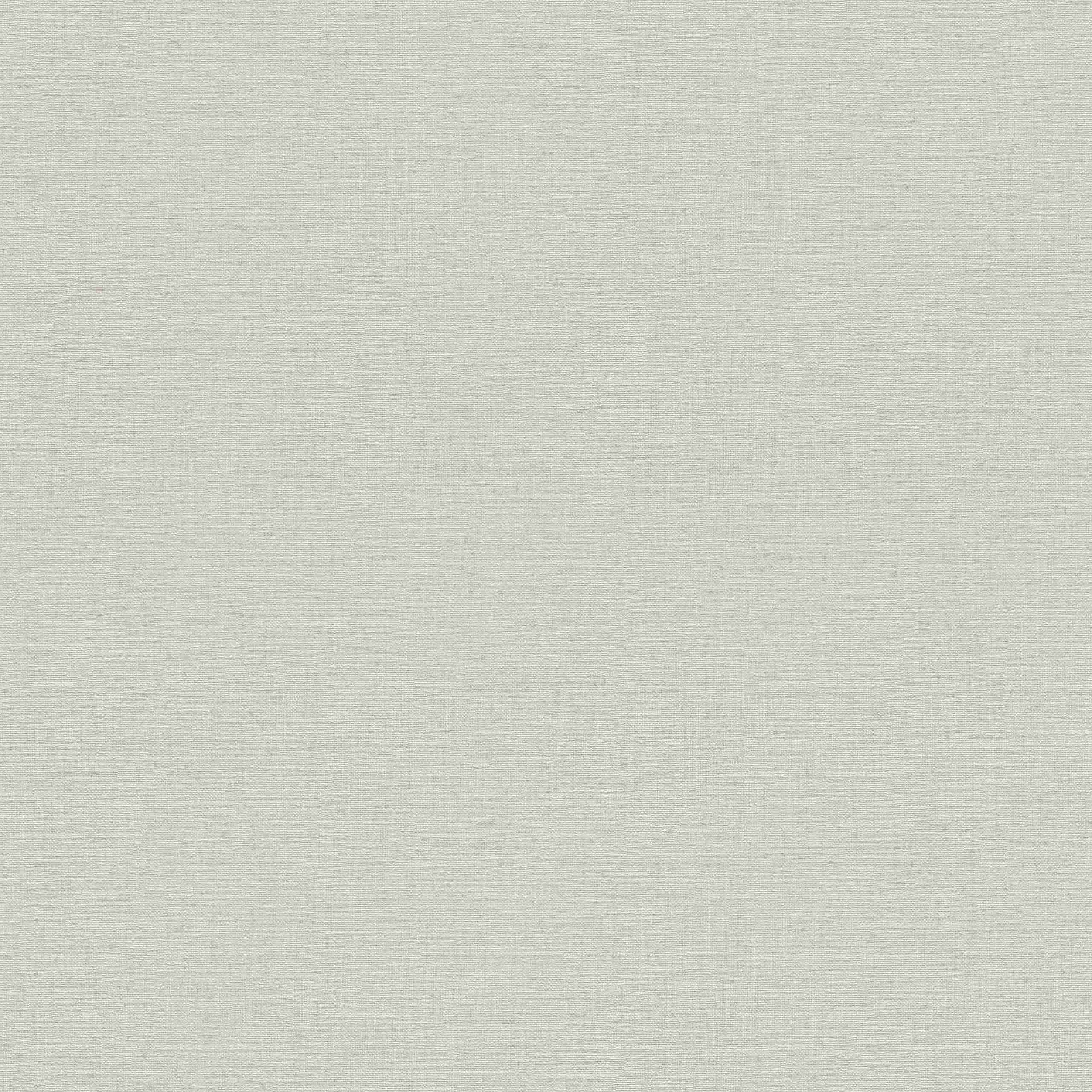 Rasch | Wall Textures Vol. IV | 452013 | Vliestapete | Einfarbig | Uni | 0.53 x 10.05 m | Grau