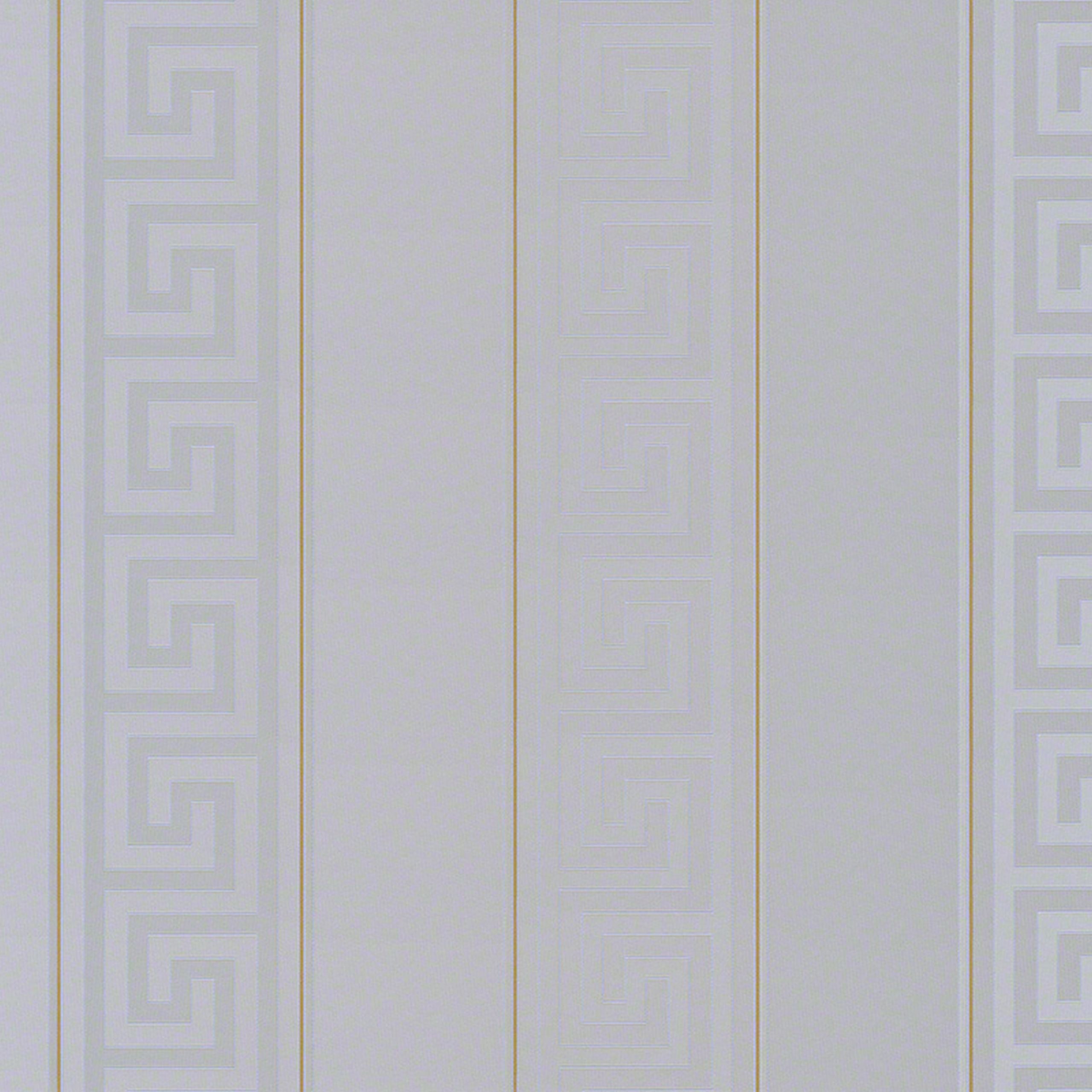 A.S. Creation | Versace | 935245 | Vliestapete | Muster & Motive | 0.7 x 10.05 m | Silber