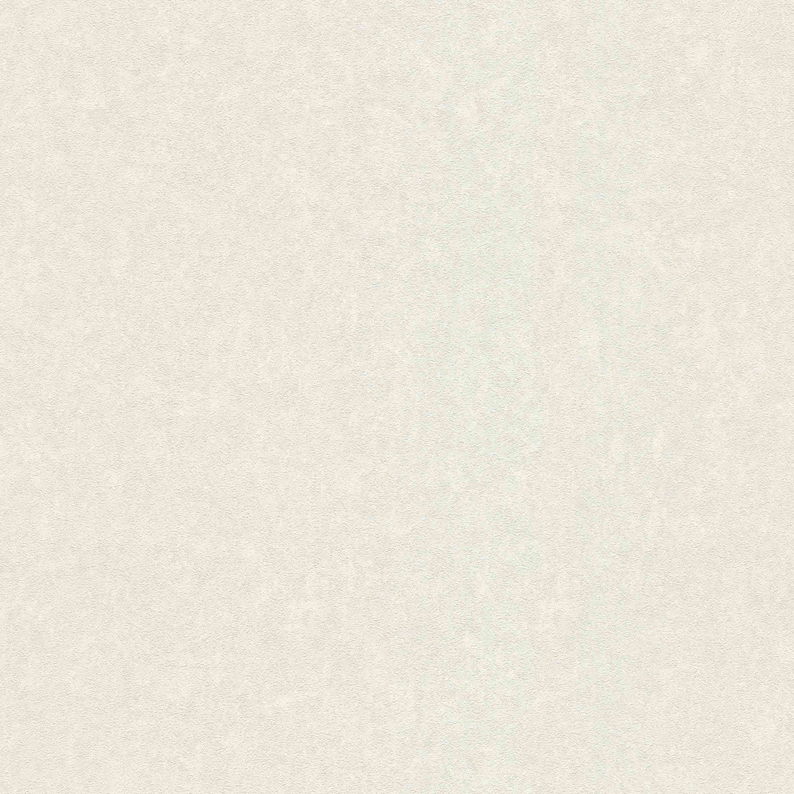 A.S. Creation | Versace | 935822 | Vliestapete | Einfarbig | Uni | 0.7 x 10.05 m | Silber