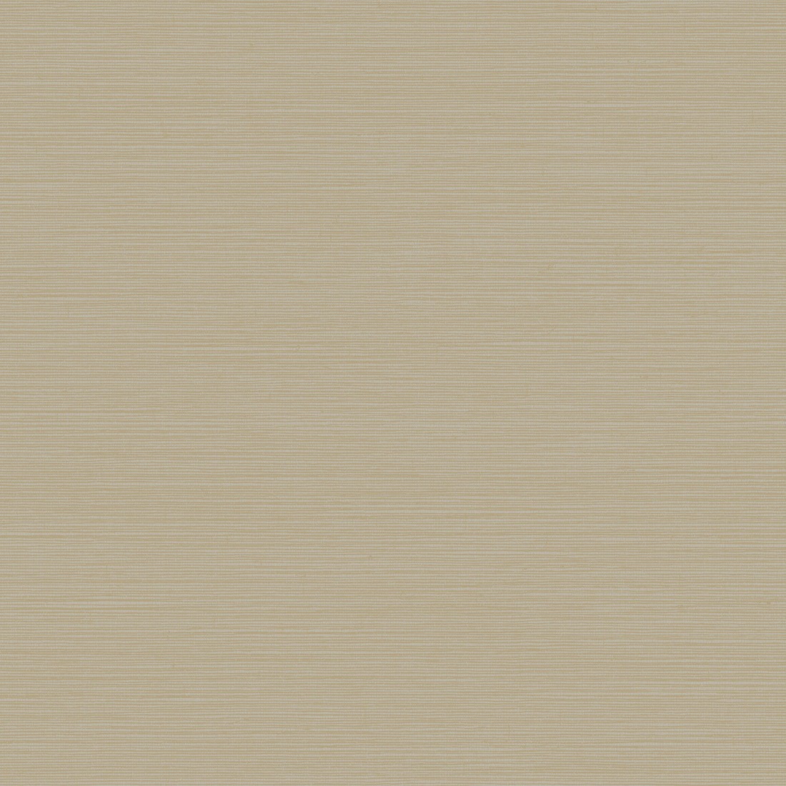 York Wallcoverings | Dazzling Dimensions Vol II | Y6200906 | Vliestapete | Uni | 0.53 x 10.05 m