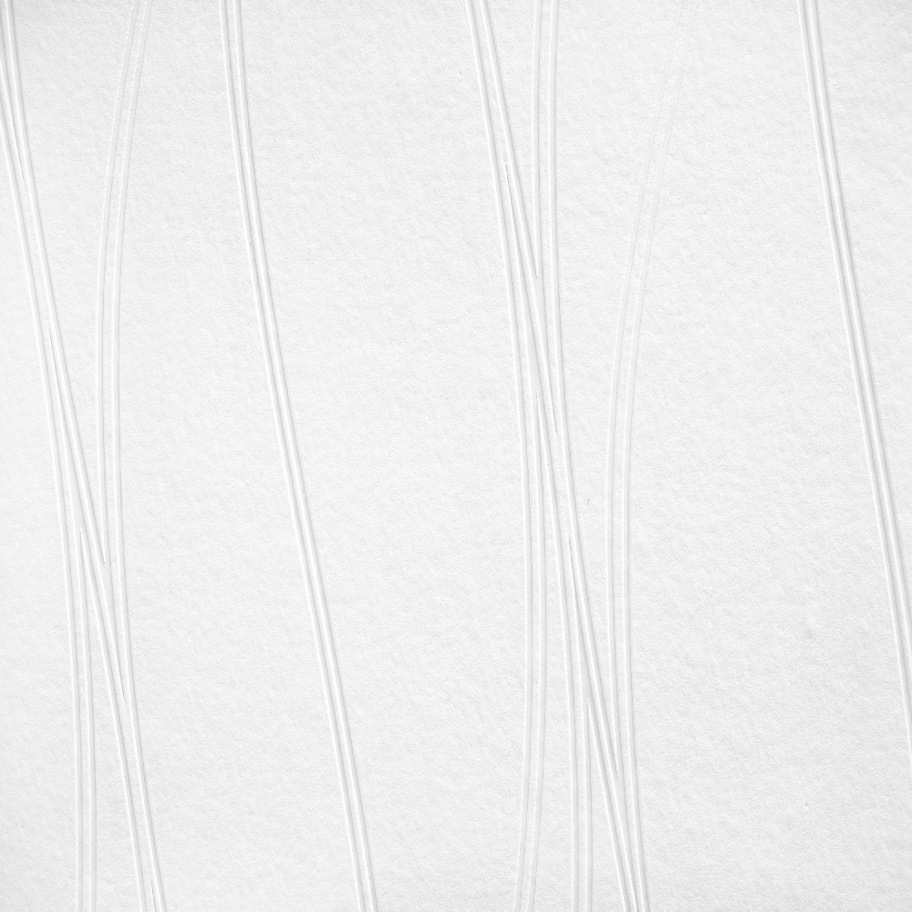 A.S. Creation | Meistervlies | 245014 | Vliestapete Überstreichbar | Wellen | 1.06 x 25 m | Weiß