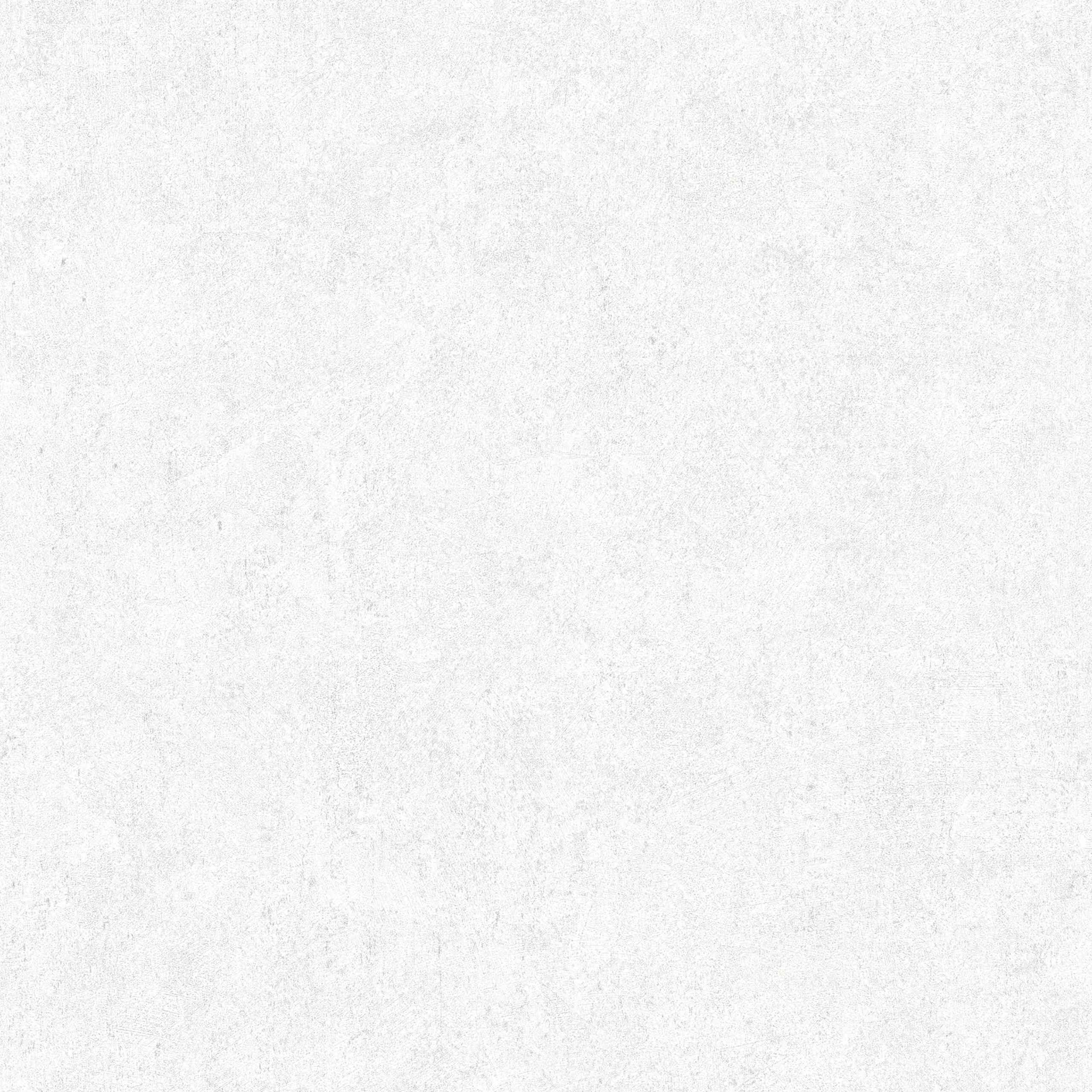 A.S. Creation | Beton Concrete & More | 362074 | Vliestapete | Uni | 0.53 x 10.05 m | Weiß
