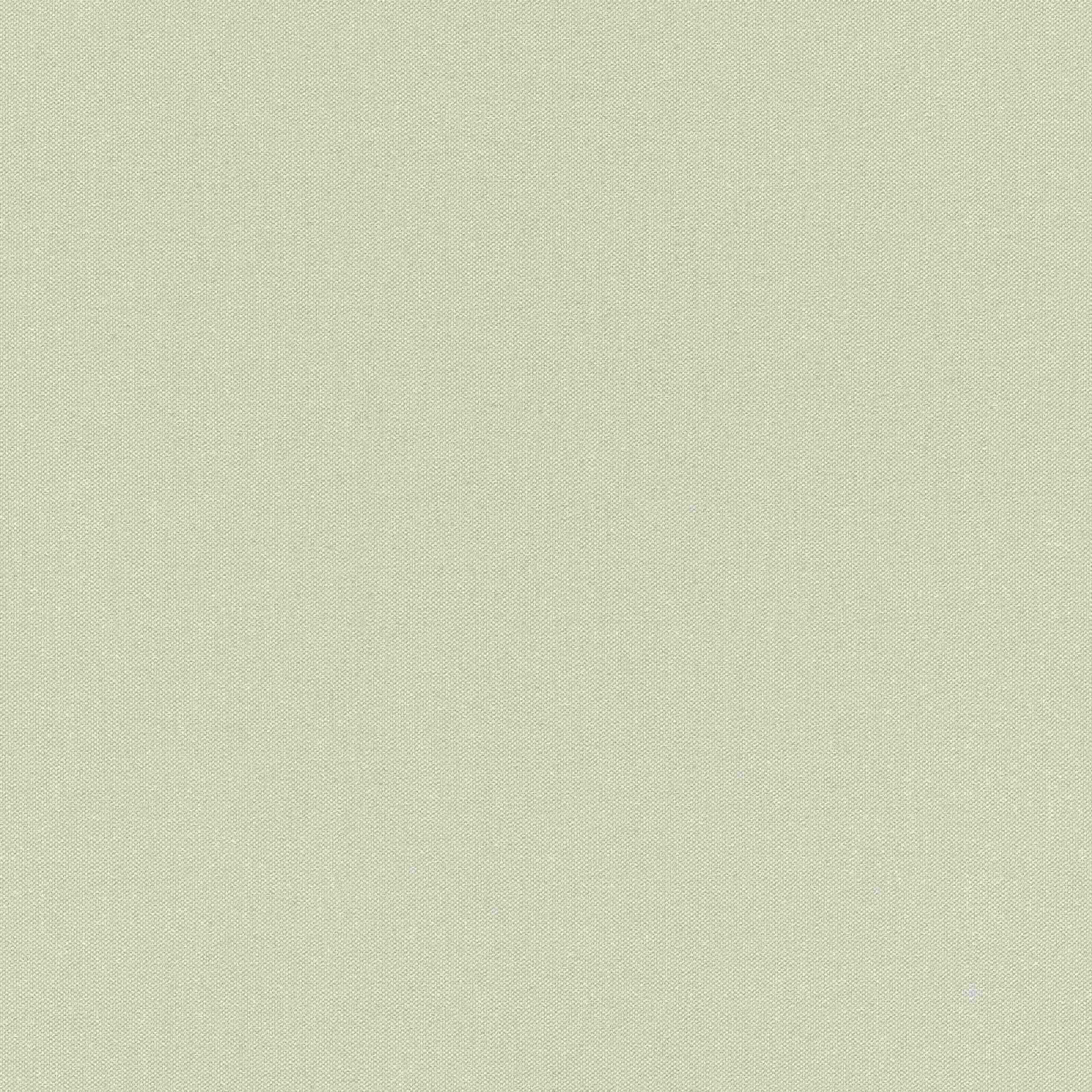 Rasch | Poetry | 424072 | Vliestapete | Einfarbig | Uni | 0.53 x 10.05 m | Grau