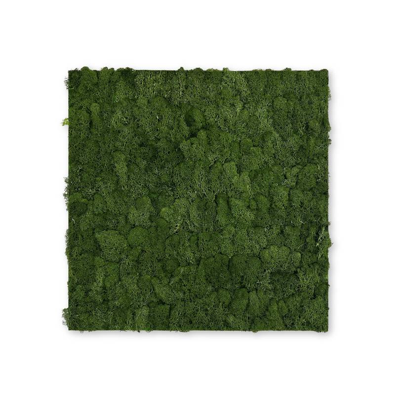 JANGAL Modular Wall Akustik Wandpaneel 520 x 520 x 40 mm Dark Green Moos Echtmoos Pflanzenwand