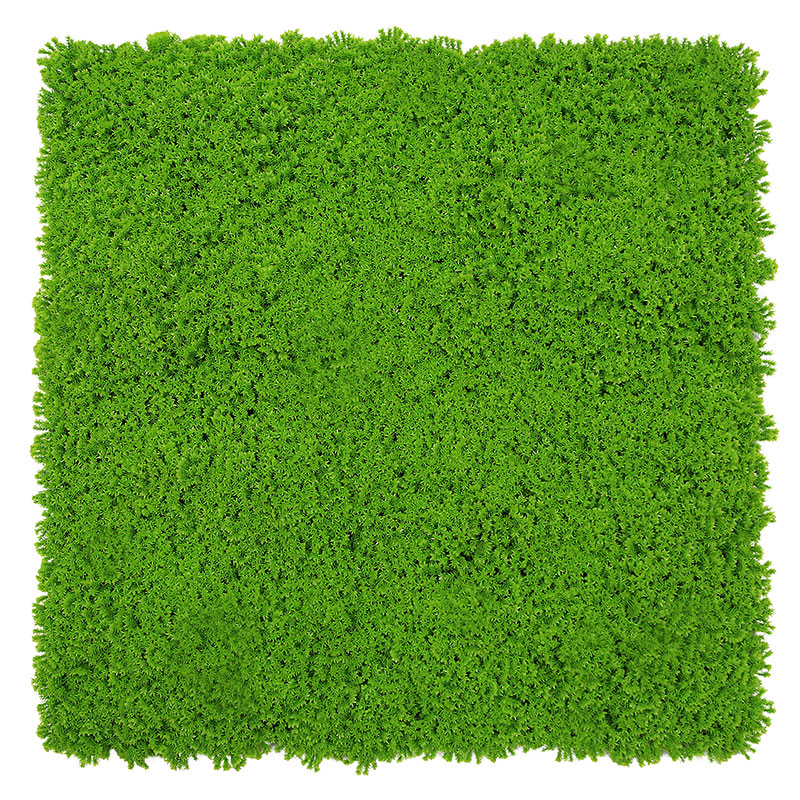 JANGAL Modular Wall Akustik Wandpaneel 520 x 520 x 30 mm Lime Green Design Moos Pflanzenwand