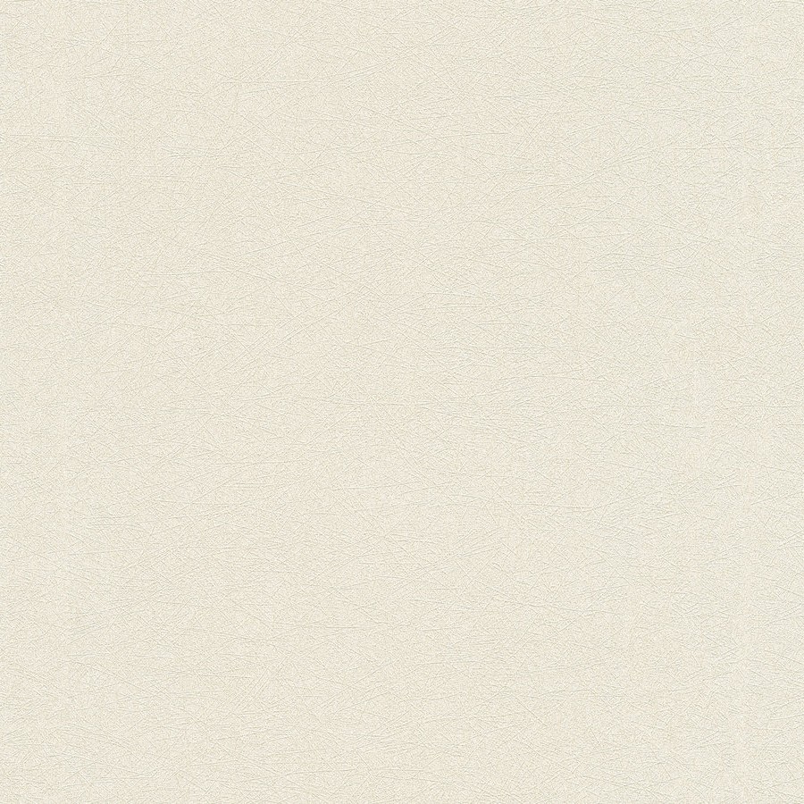 A.S. Creation | Premium Wall 2 | 358664 | Vliestapete | Einfarbig | 10.05 x 0.53 m | Beige