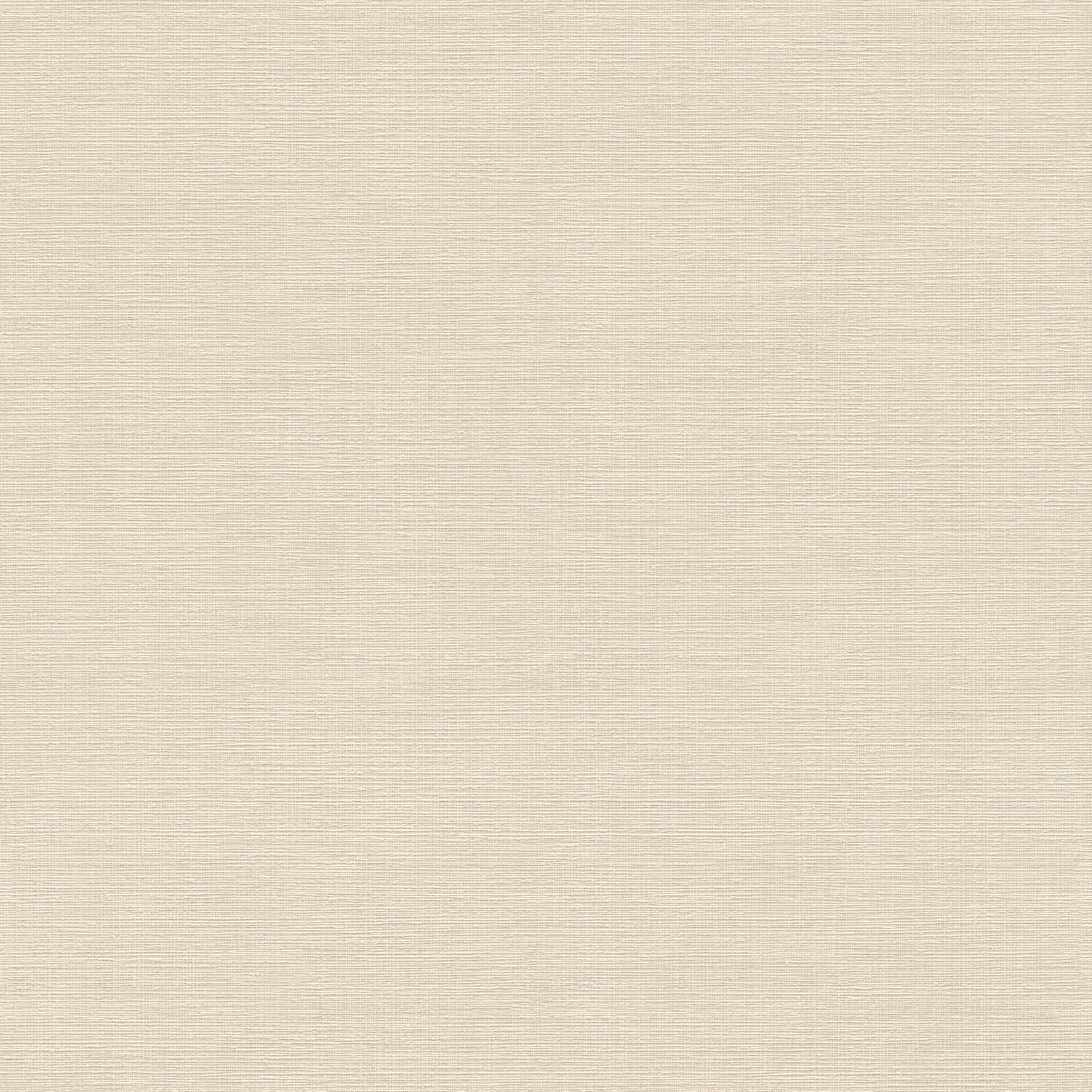 Vliestapete 734041 Beige Uni Einfarbig Deco Style Rasch