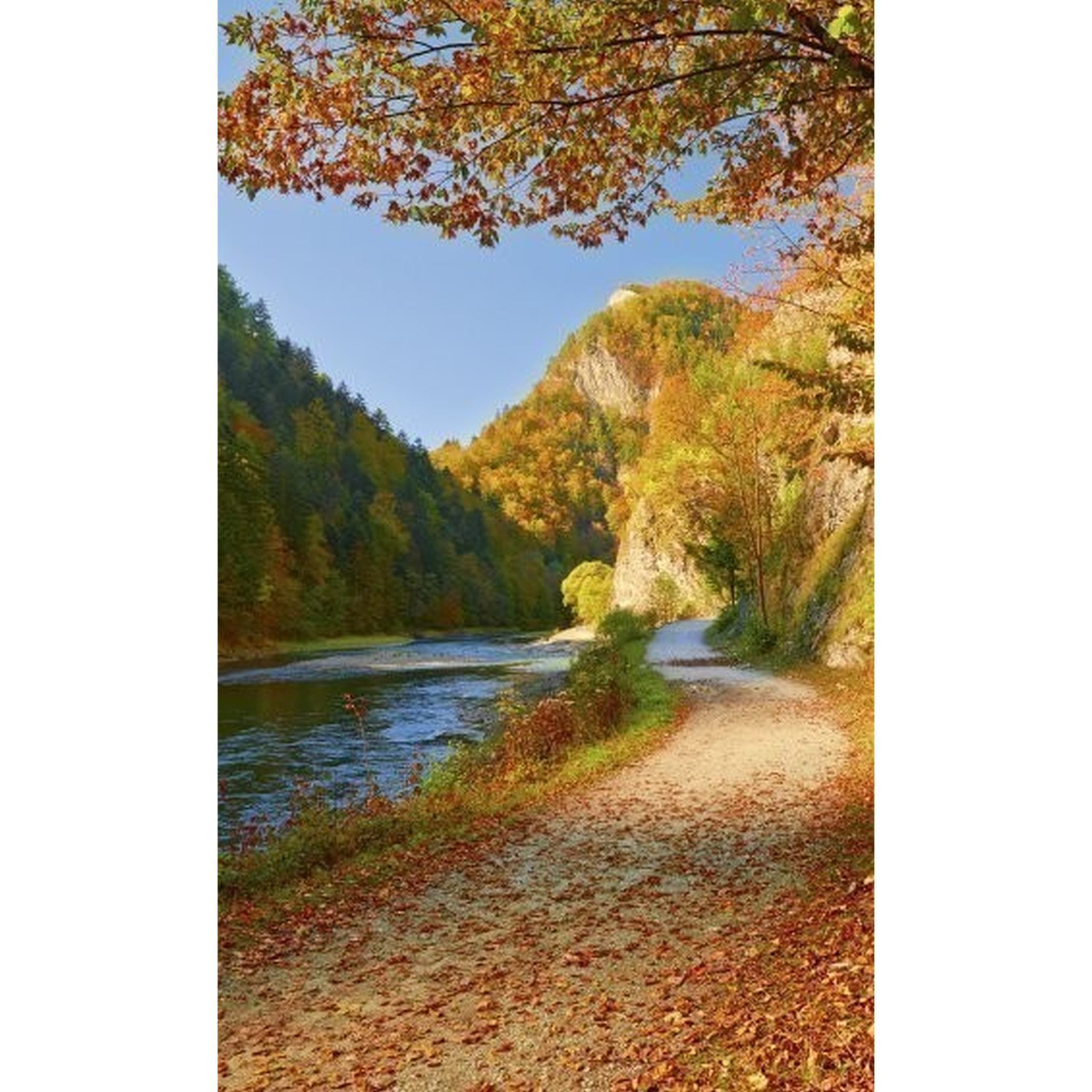 Dimex | Dimex Line | MS-2-0069  | Fototapete | Vlies | Versch. Größen | Wald & Pflanzen | Orange