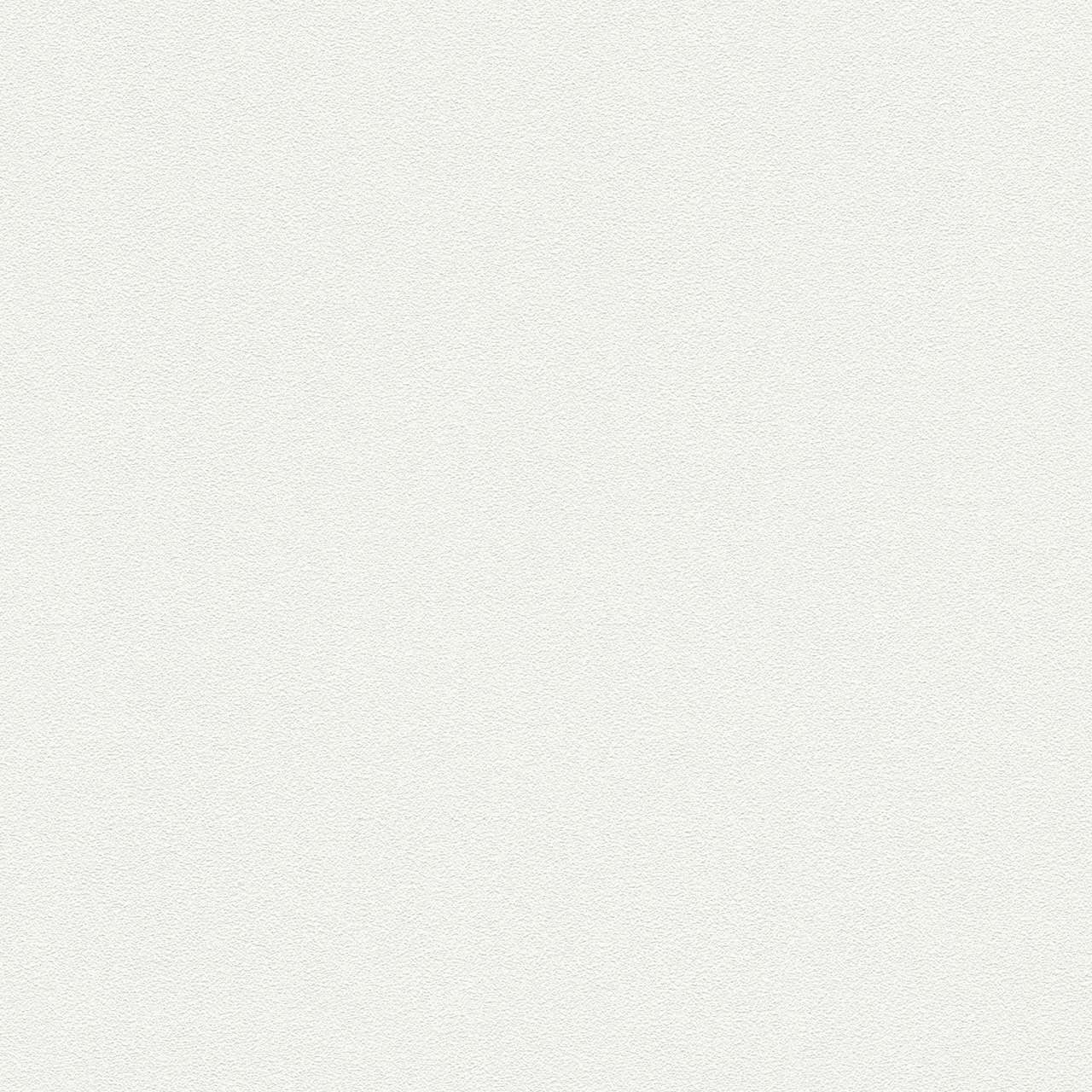 A.S. Creation | Meistervlies 6 | 103819 | Vliestapete | Einfarbig | 0.53 x 10.05 m | Weiß