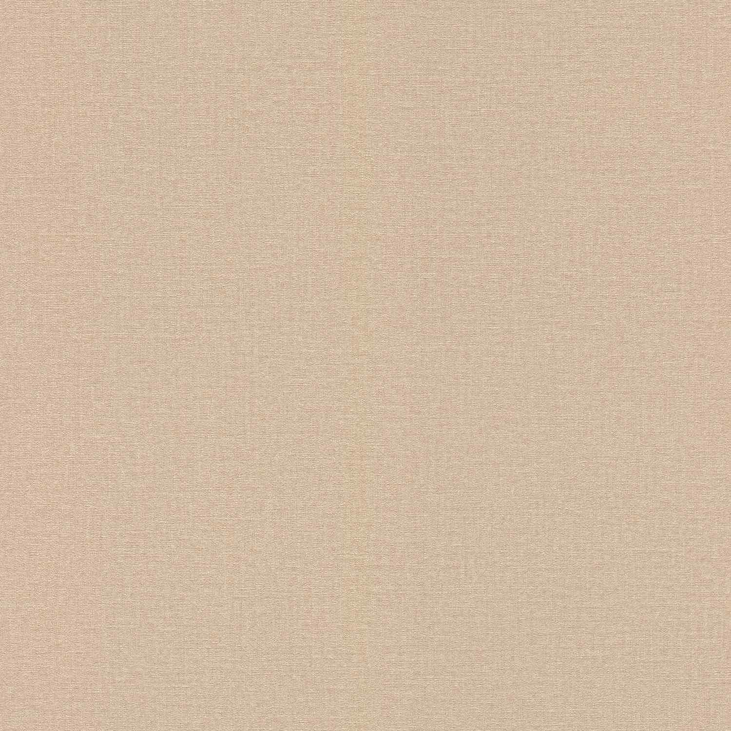 Rasch | Lirico | 555882 | Vliestapete | Einfarbig | Uni | 0.53 x 10.05 m | Beige