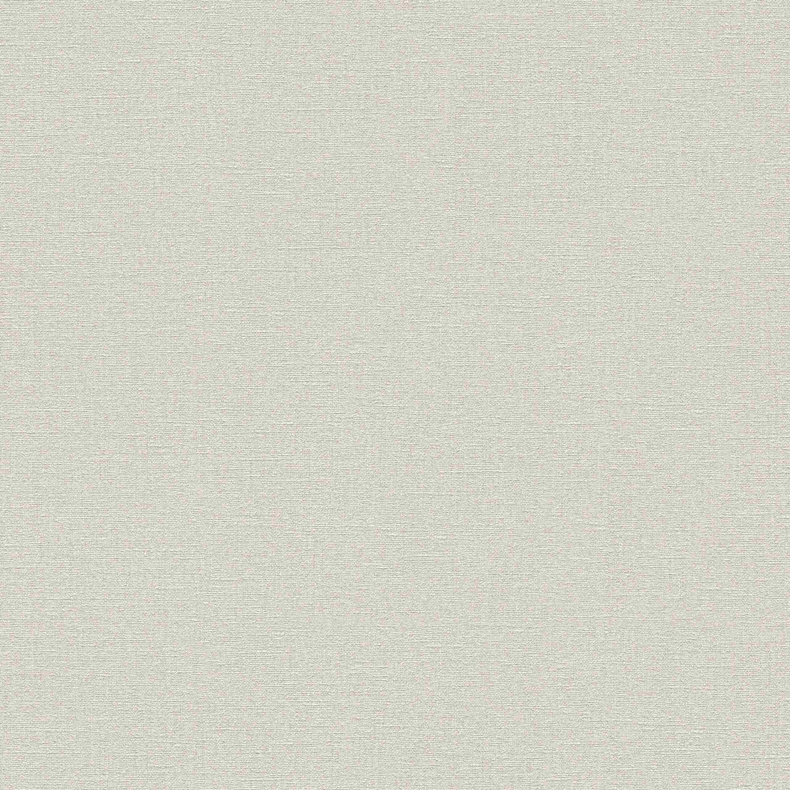 A.S. Creation | Designbook | 324749 | Vliestapete | Einfarbig | Uni | 0.53 x 10.05 m | Beige