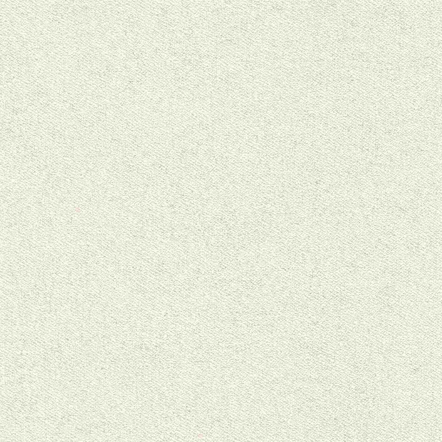 Rasch | #tapetenwechsel II | 507058 | Vliestapete | Einfarbig | Uni | 0.53 x 10.05 m | Beige