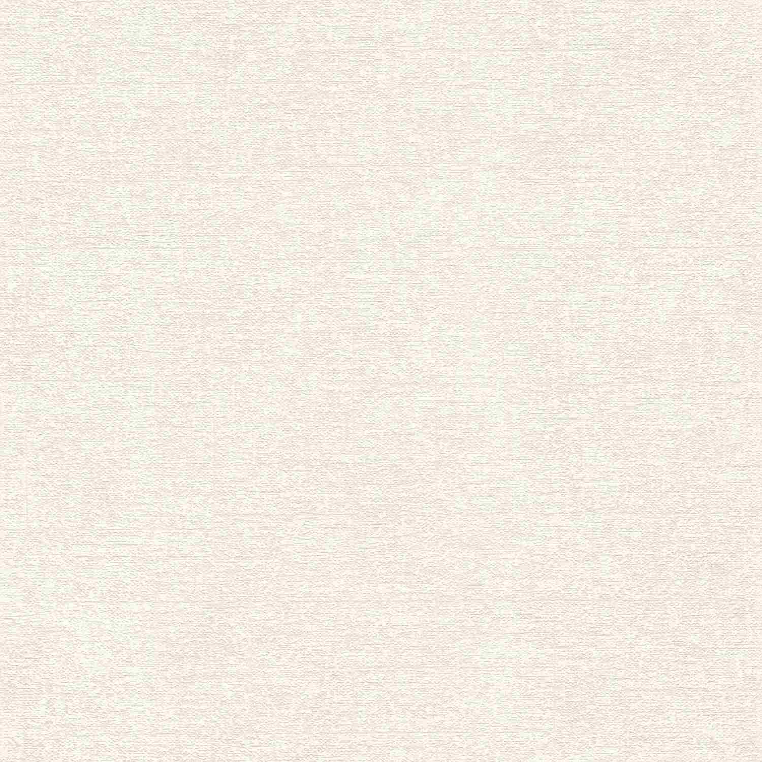 Rasch | #tapetenwechsel II | 507812 | Vliestapete | Einfarbig | Uni | 0.53 x 10.05 m | Weiß