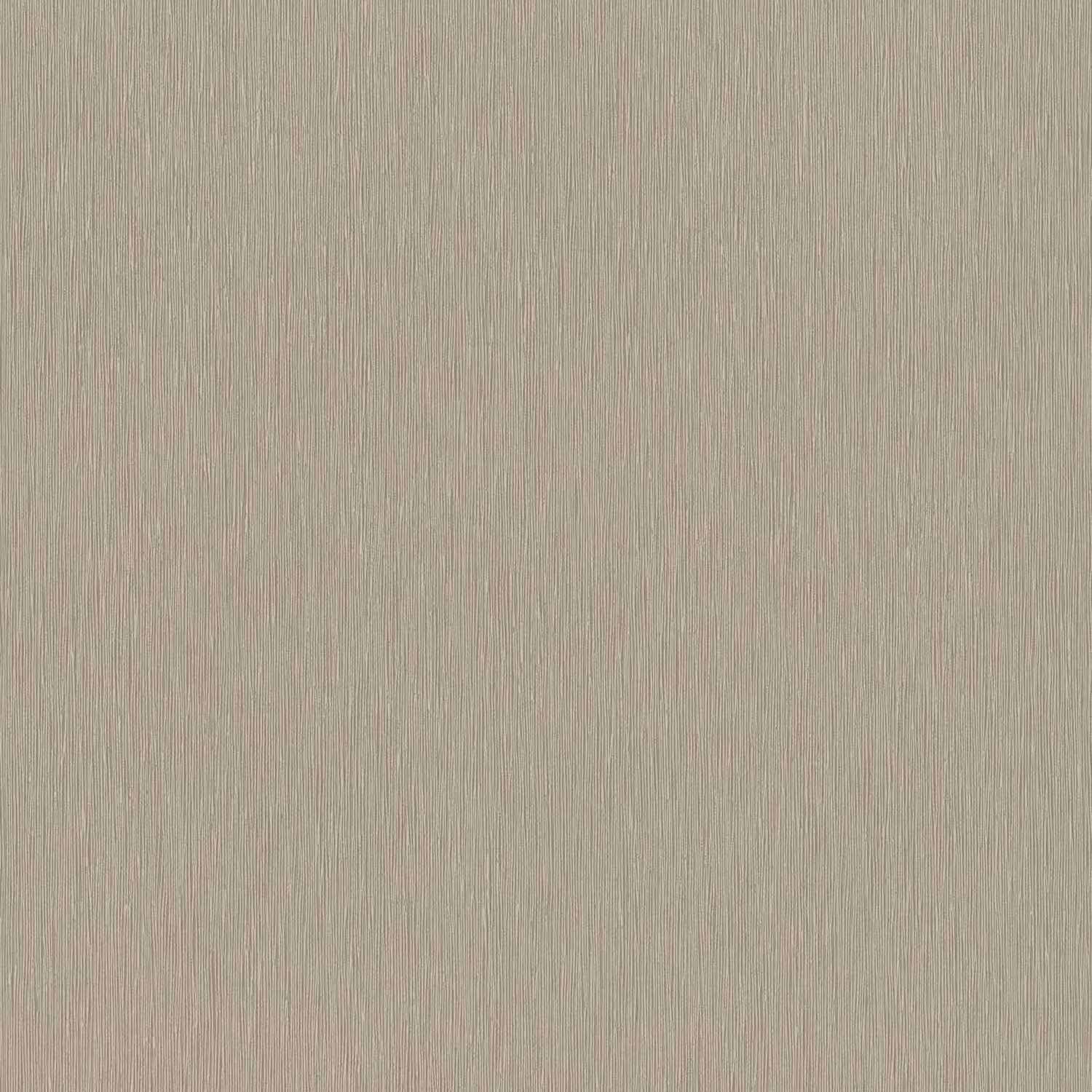 Rasch | Color Your Life | 810141 | Vliestapete | Einfarbig | Uni | 0.53 x 10.05 m | Braun