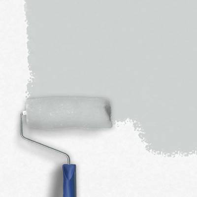 Zero Lacke Wandfarbe Dispersionsfarbe H168 Hellgrau Delfingrau Losungsmittelfrei Grau Innenfarbe Farbe Profistuck