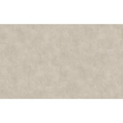Erismann BasiXs | 632338 | Vliestapete Tapete Betonoptik | 0.53 m x 10.05 m | Taupe