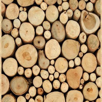 A.S. Creation Pop.up Panel 2 | 300701 | Folie selbstklebend Holzoptik | 0.35 m x 2.5 m | Beige