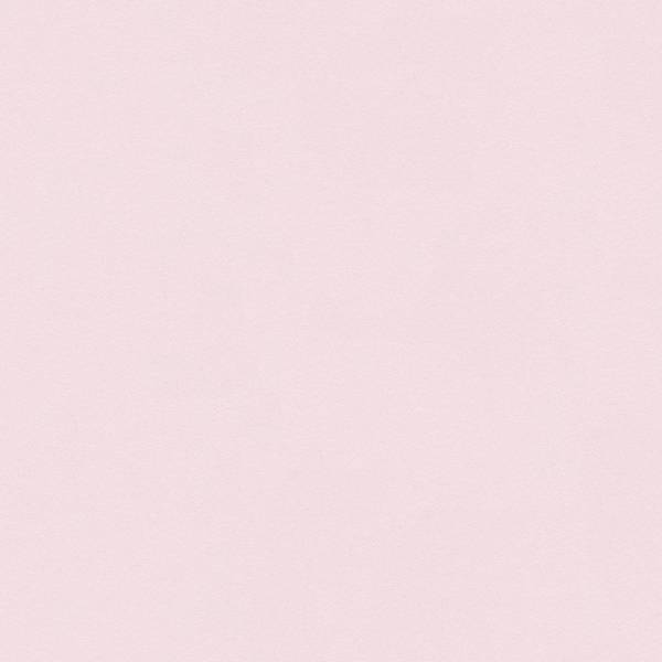 A.S. Creation | New Life | 303219 | Vliestapete | Einfarbig | Uni | 0.53 x 10.05 m | Rosa A.S. Creation | New Life | 303219 | Vliestapete | Einfarbig | Uni | 0.53 x 10.05 m | Rosa