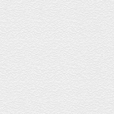A.S. Creation Simply White 4 | 641618 | Papiertapete Einfarbig | 0.53 m x 10.05 m | Weiß