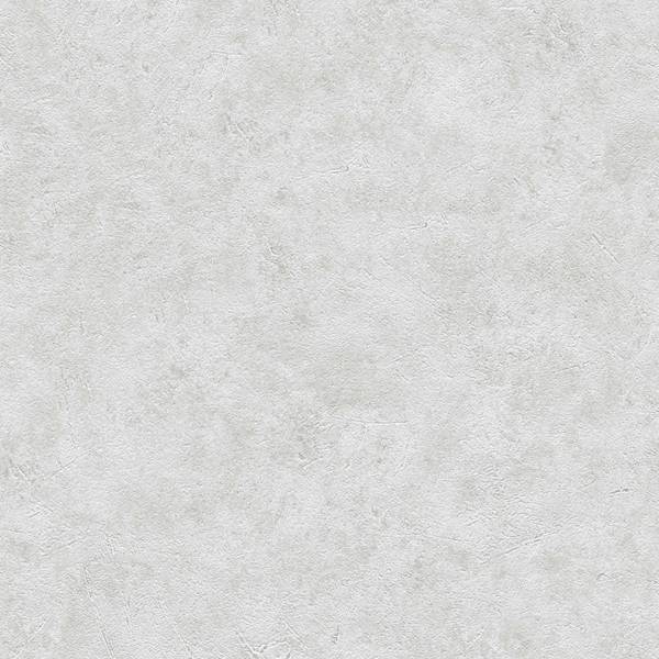 A.S. Creation | Meistervlies 5 | 960055 | Vliestapete | Einfarbig | 0.53 x 10.05 m | Grau