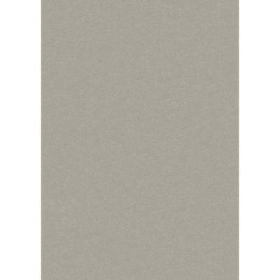 Erismann Brix unlimited | 593802 | Vliestapete uni | 0.53 m x 10.05 m | Beige