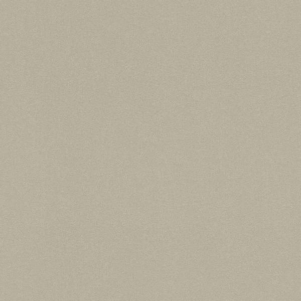 A.S. Creation | Castello | 335402 | Vliestapete | Einfarbig | Uni | 0.53 x 10.05 m | Beige A.S. Creation | Castello | 335402 | Vliestapete | Einfarbig | Uni | 0.53 x 10.05 m | Beige