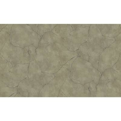 Erismann BasiXs | 632324 | Vliestapete Tapete Betonoptik | 0.53 m x 10.05 m | Braun