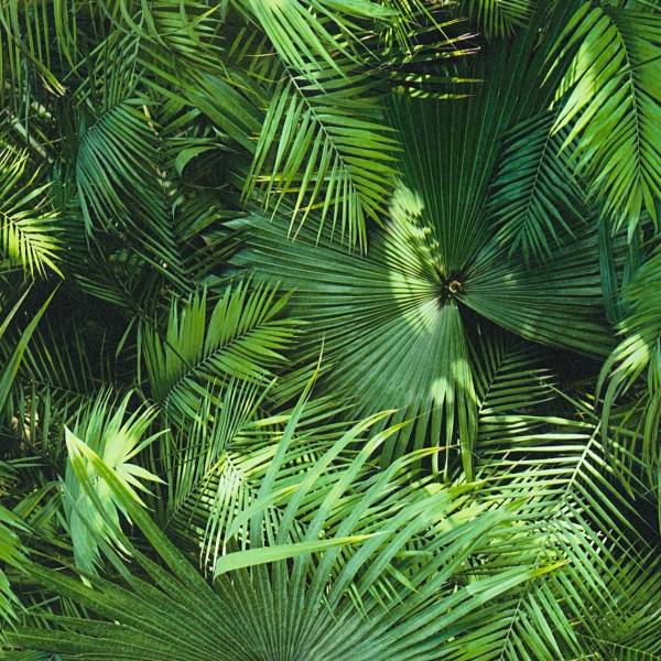 A.S. Creation | Pop Up Panels 3D | 368441 | Folietapete | Naturoptik | 0.52 x 2.5 m | Beige