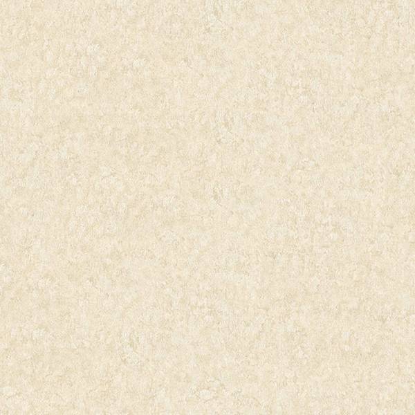 A.S. Creation | AP Longlife Colours | 301407 | Vliestapete | Einfarbig | 1.6 x 21 m | Beige